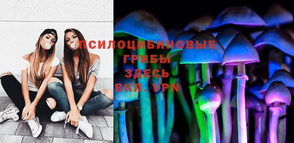 стафф Зеленодольск